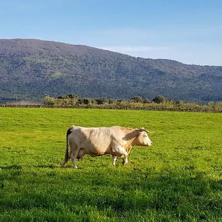 Casa Mauro Сasa de vacaciones